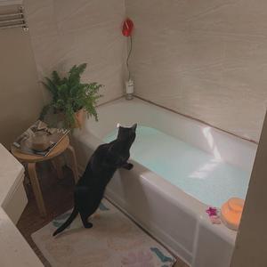 国产精品爆乳在线
