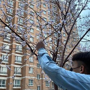 国产精品爆乳在线
