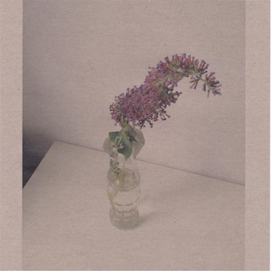 国产精品爆乳在线
